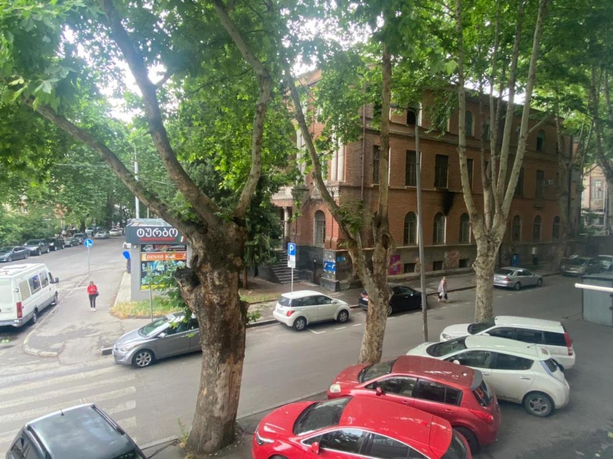 Spacious Dinamo Apartment Tbilisi Exteriör bild
